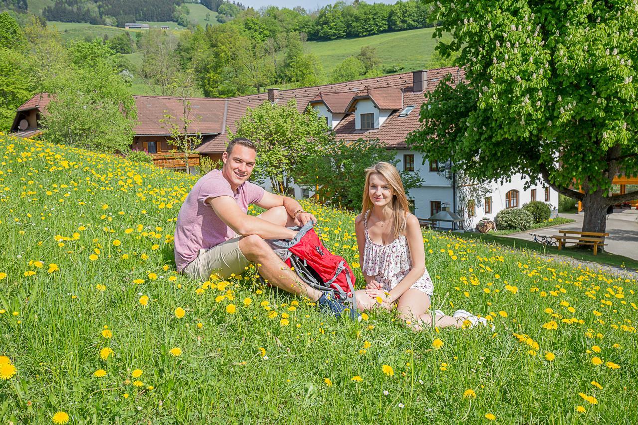 Ferienhof Pfaffenlehen Maria Neustift Exteriör bild
