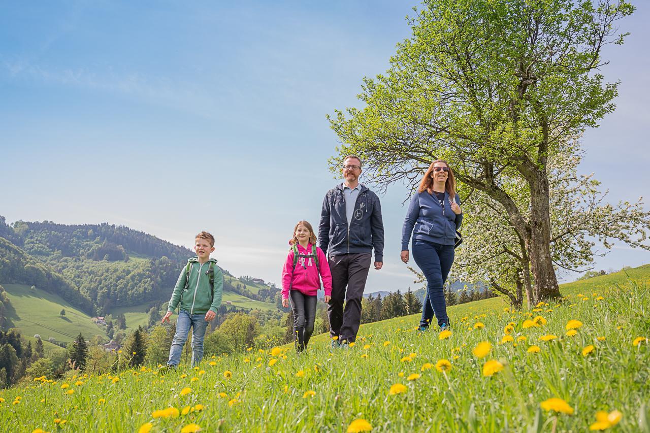 Ferienhof Pfaffenlehen Maria Neustift Exteriör bild